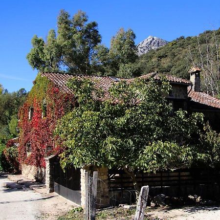Molino Rodete Guest House Jimera de Libar Luaran gambar