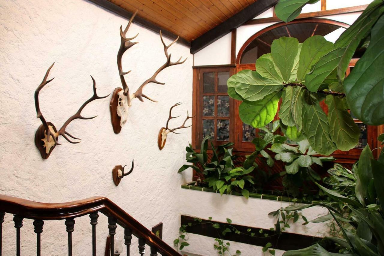 Molino Rodete Guest House Jimera de Libar Luaran gambar